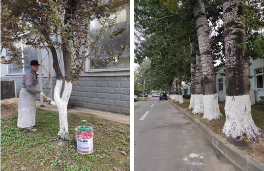 連心物業(yè)多措并舉保障電力設(shè)備公司園區(qū)平穩(wěn)過(guò)冬